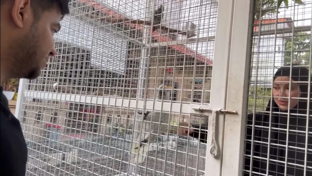 Fadil Jaidi memasukkan istri Yislam ke kandang burung (Foto: YouTube/Fadil Jaidi)
