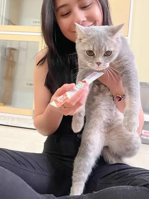 Prilly Latuconsina adopsi kucing (Foto: Instagram/prillylatuconsina96)