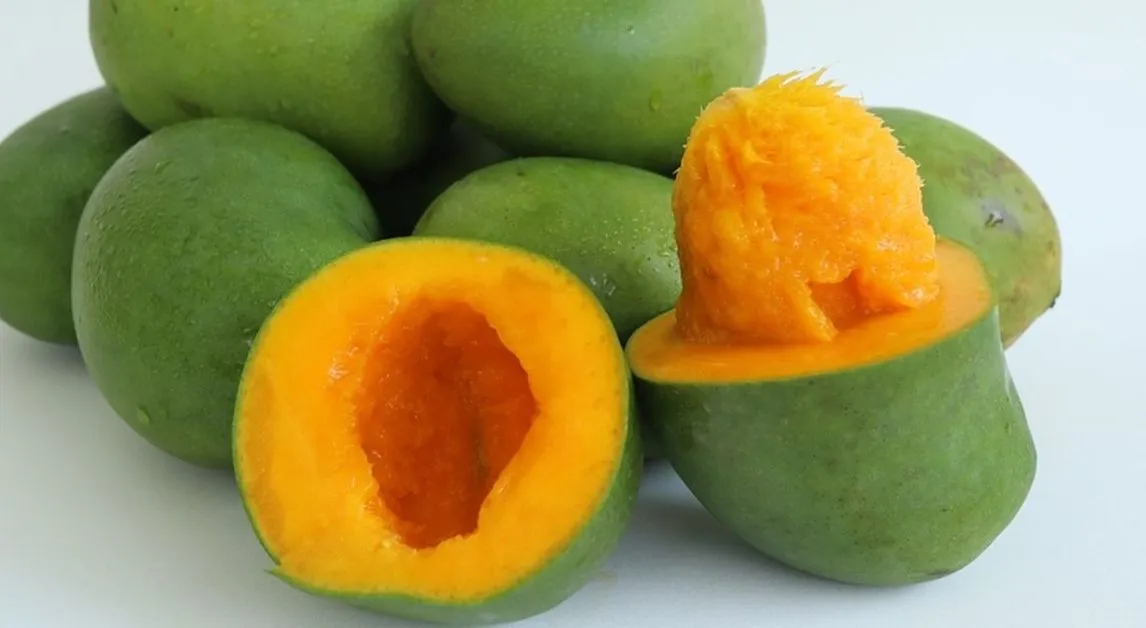 Pantangan Setelah Makan Mangga, Hindari Makanan dan Minuman Ini