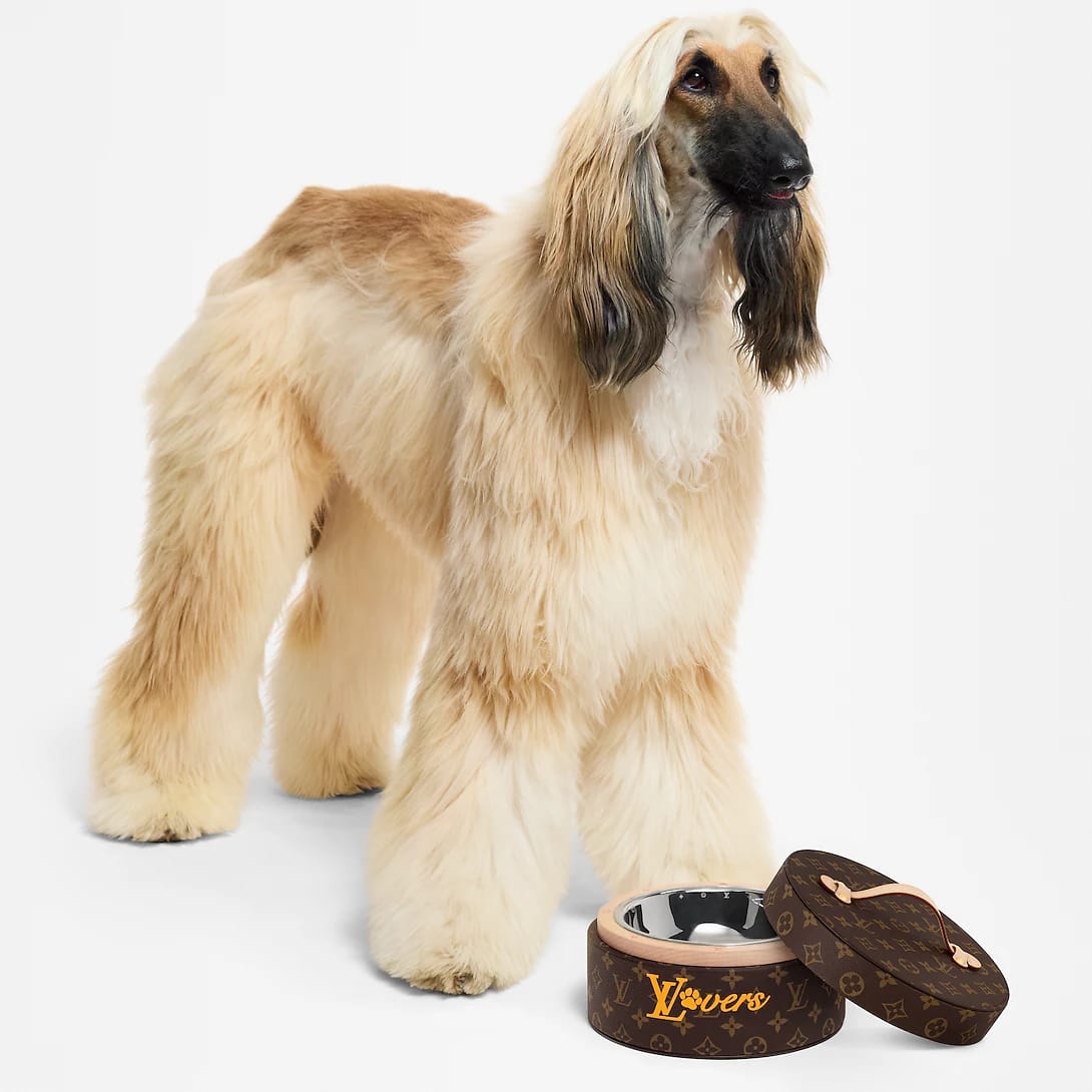Dog bowl. Foto: Dok. Louis Vuitton