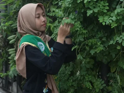 Reva Fernanda menanam 35 ribu biji bunga telang di kampungnya di Surabaya. (Foto: Ikhsan)