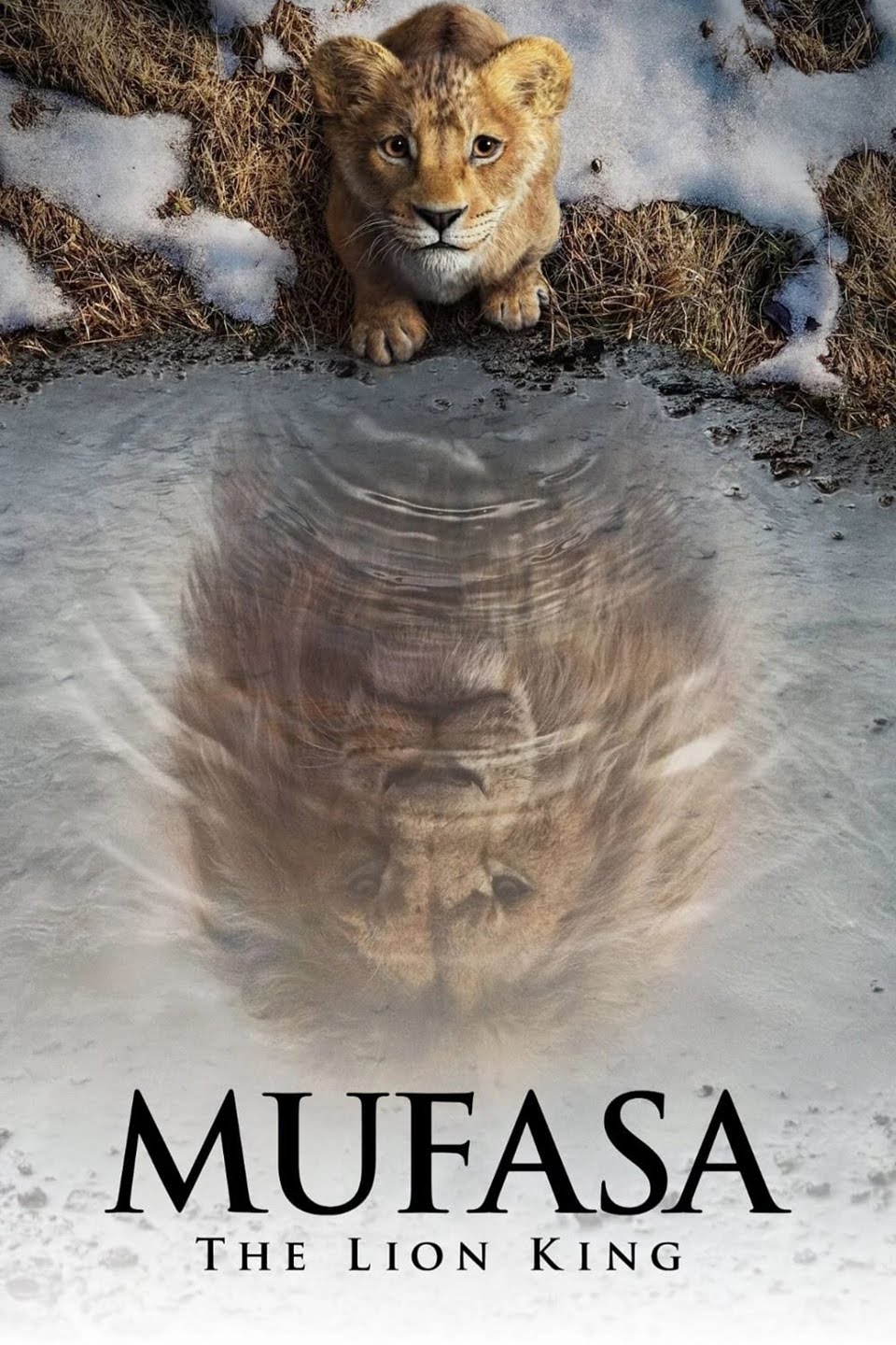 Film 'Mufasa: The Lion King' (Foto: Disney Studios)