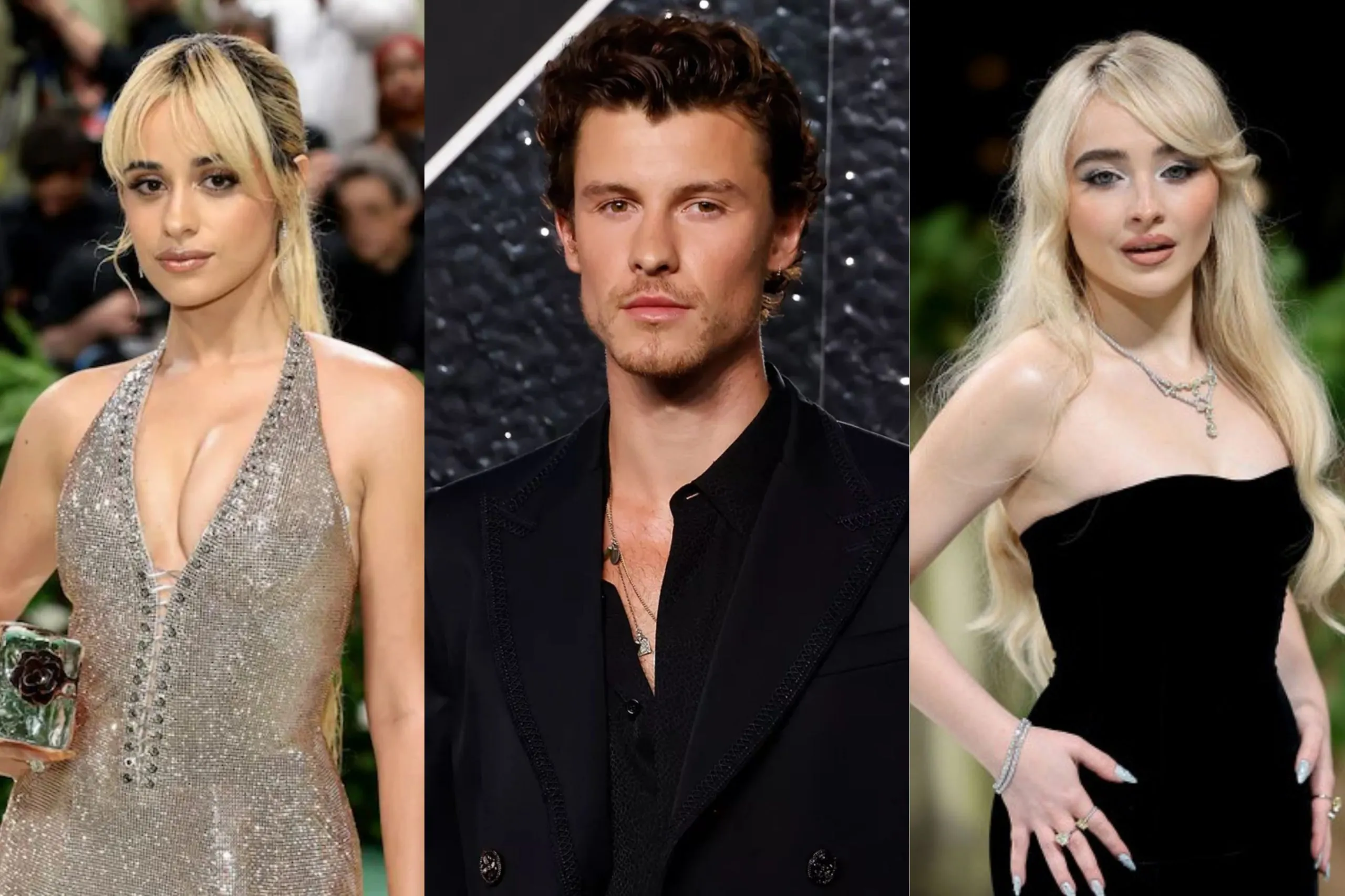Shawn Mendes dan Sederet Wanita yang Pernah Didekatinya