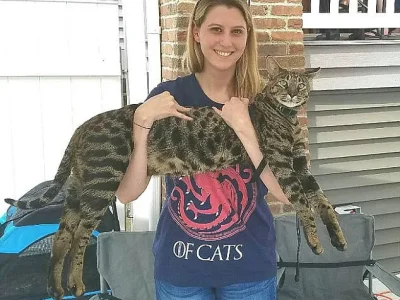 Lauren menggendong kucingnya bernama Acturus yang memenangi rekor guinness untuk kucing terjangkung sedunia. Foto: NET)