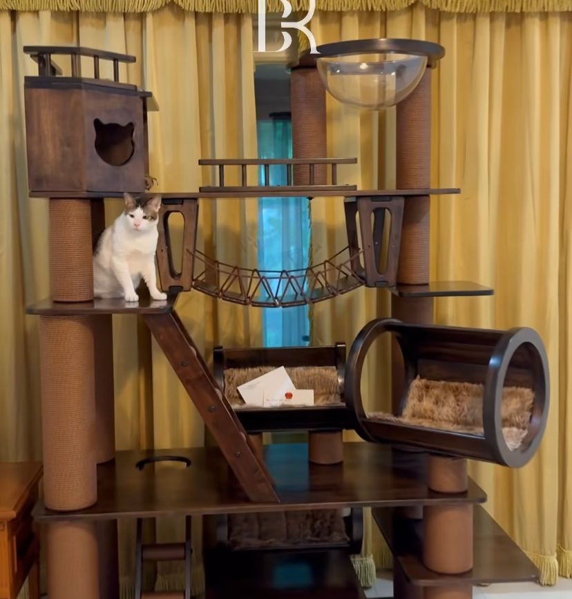 Rumah mainan baru Bobby Kertanegara, kucing kesayangan Presiden Prabowo Subianto. (Foto: Instagram/bobbykertanegara)