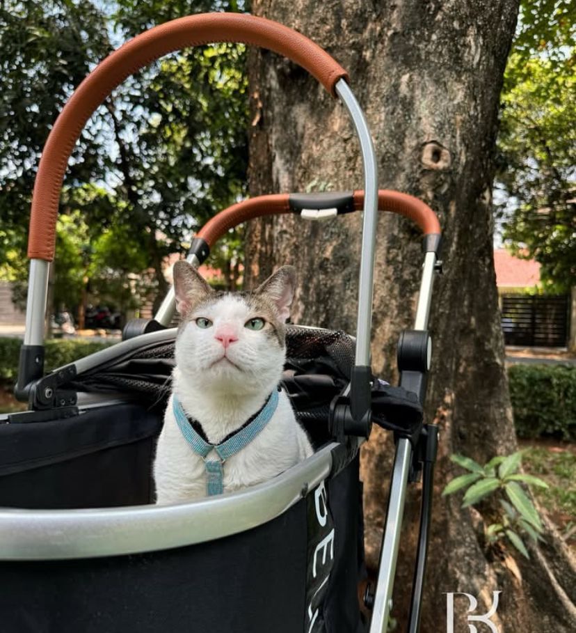 Stroller Bobby Kertanegara. Foto : Instagram/bobbykertanegara