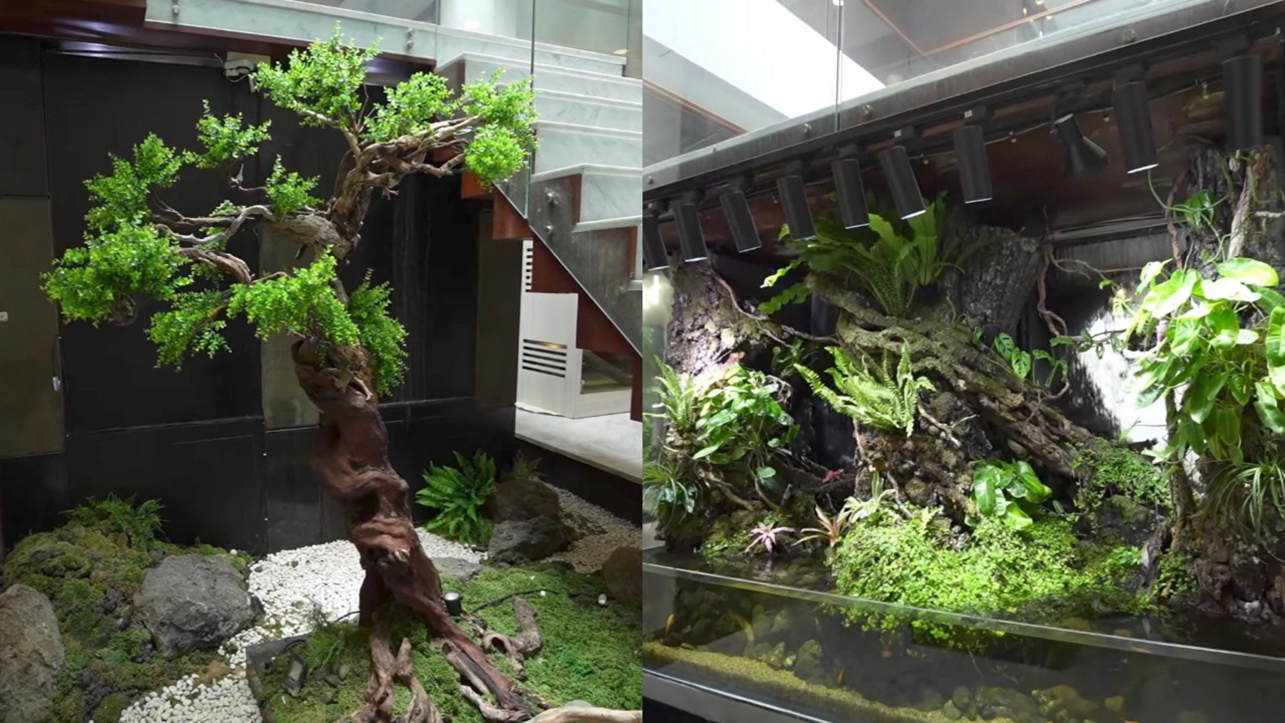 Paludarium di bawah tangga (Foto: Youtube/Taulany TV)