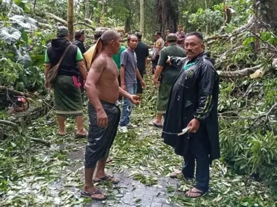 Dua turis asing tewas setelah tertimpa pohon besar yang tumbang di, Monkey Forest Ubud. Foto : Polsek Ubud