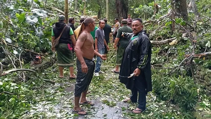 Berlibur ke Monkey Forest Ubud, Dua Turis Tewas Tertimpa Pohon