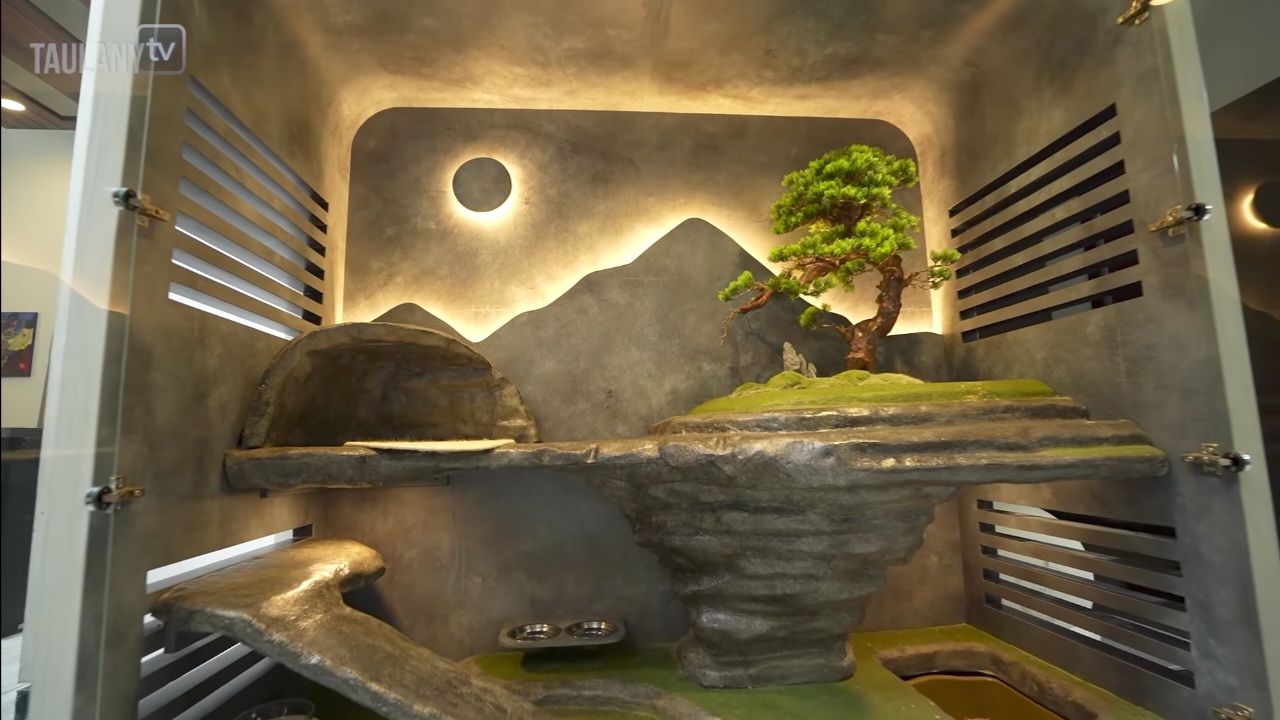Rumah kucing (Foto: Youtube/Taulany TV)