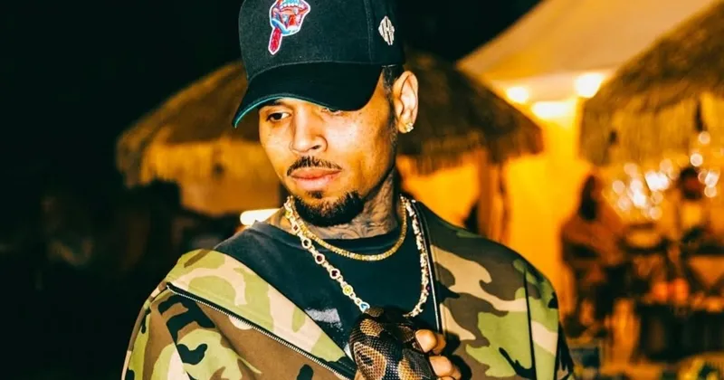 Chris Brown Gugat Warner Bros Rp8 T Atas Dokumenter ‘A History of Violence’