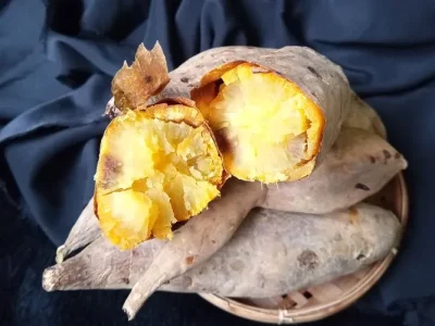 ILUSTRASI: Manfaat Ubi cilembu. Foto : SHUTTERSTOCK/Uut_Eco.J
