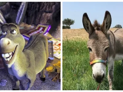 Keledai bernama Perry yang menjadi model untuk film animasi 'Shrek', meninggal dunia. Foto : Istimewa