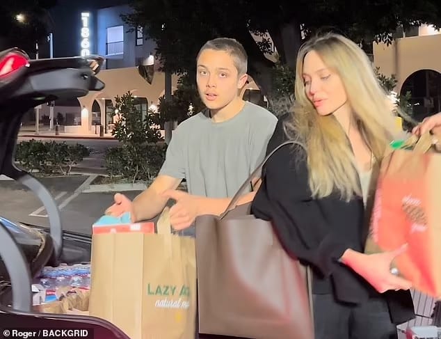 Jolie dan putranya, Knox membeli banyak barang-barang keperluan pokok. Foto: Dok. Bakcgrid/Dailymail