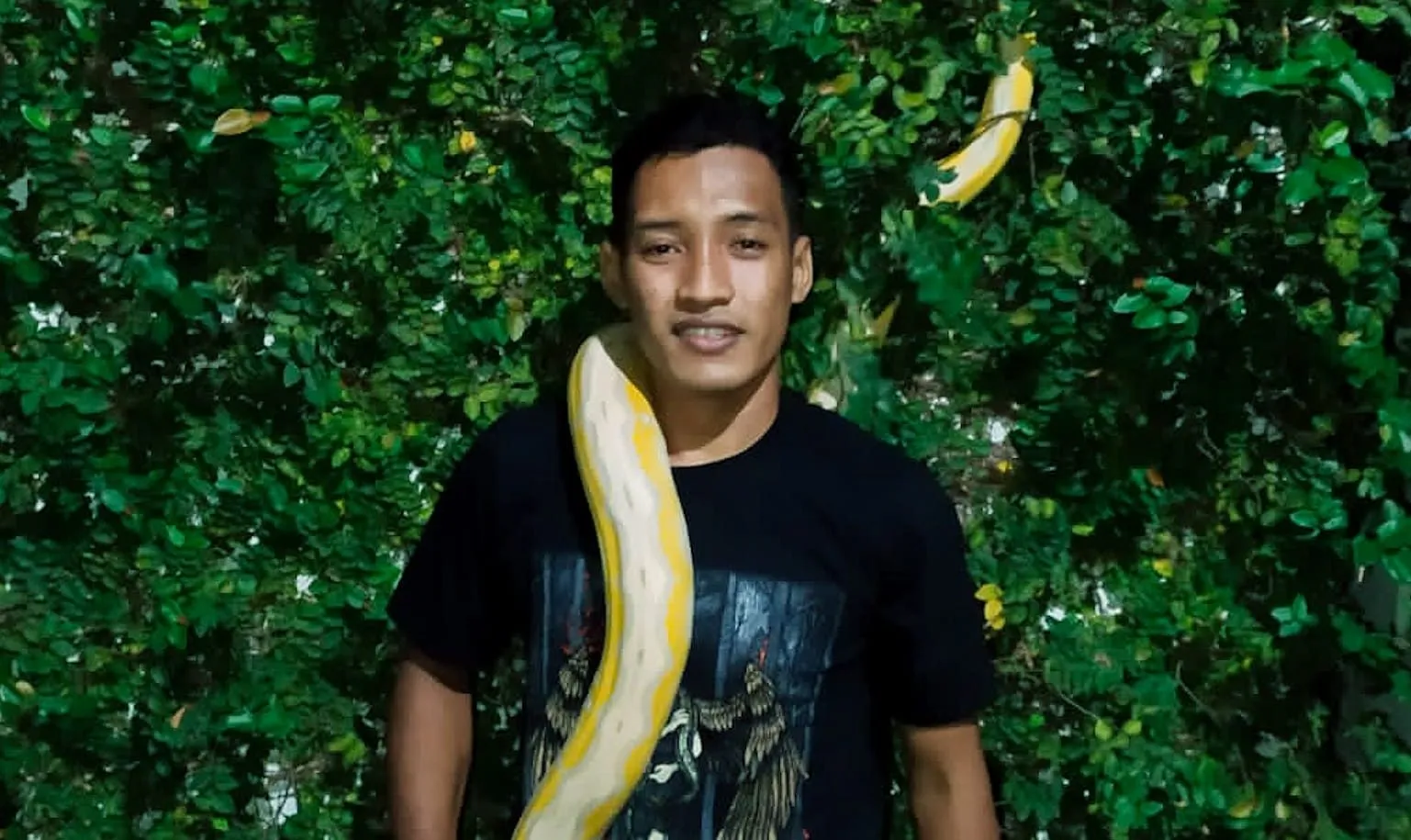 Budidaya Ular, Peternak Sidoarjo Ini Bisa Beli Sepeda hingga Rumah