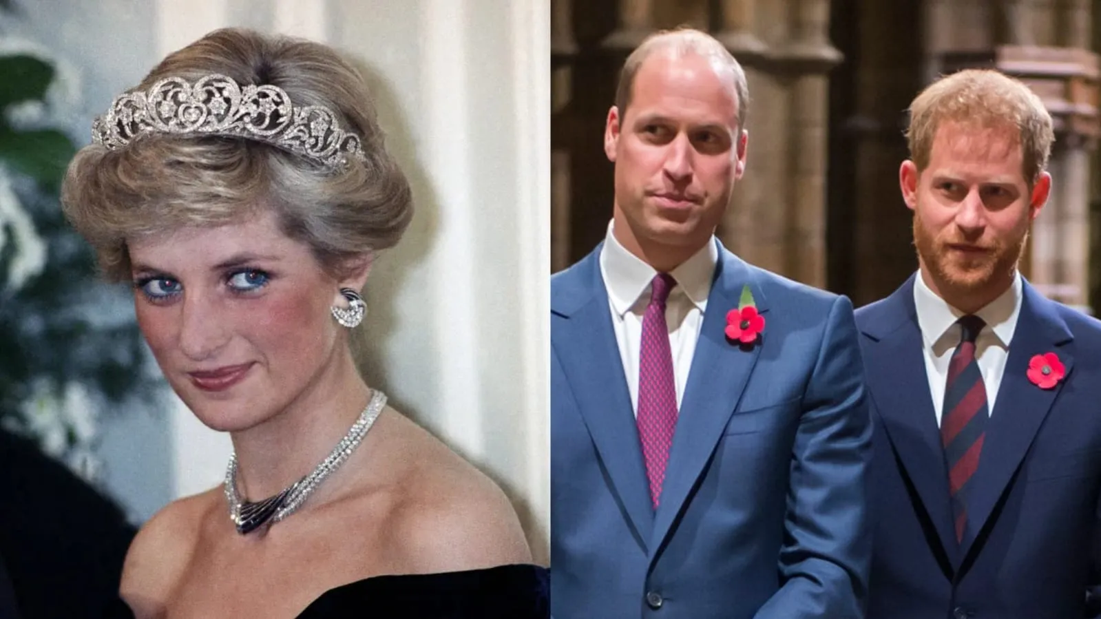 Bukan Pangeran William, Pria Ini Akan Warisi Rumah Putri Diana