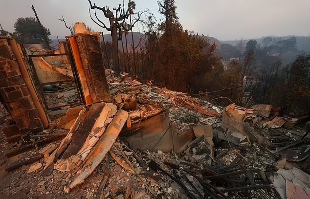 Rumah setelah hangus terbakar (Foto: BACKGRID)