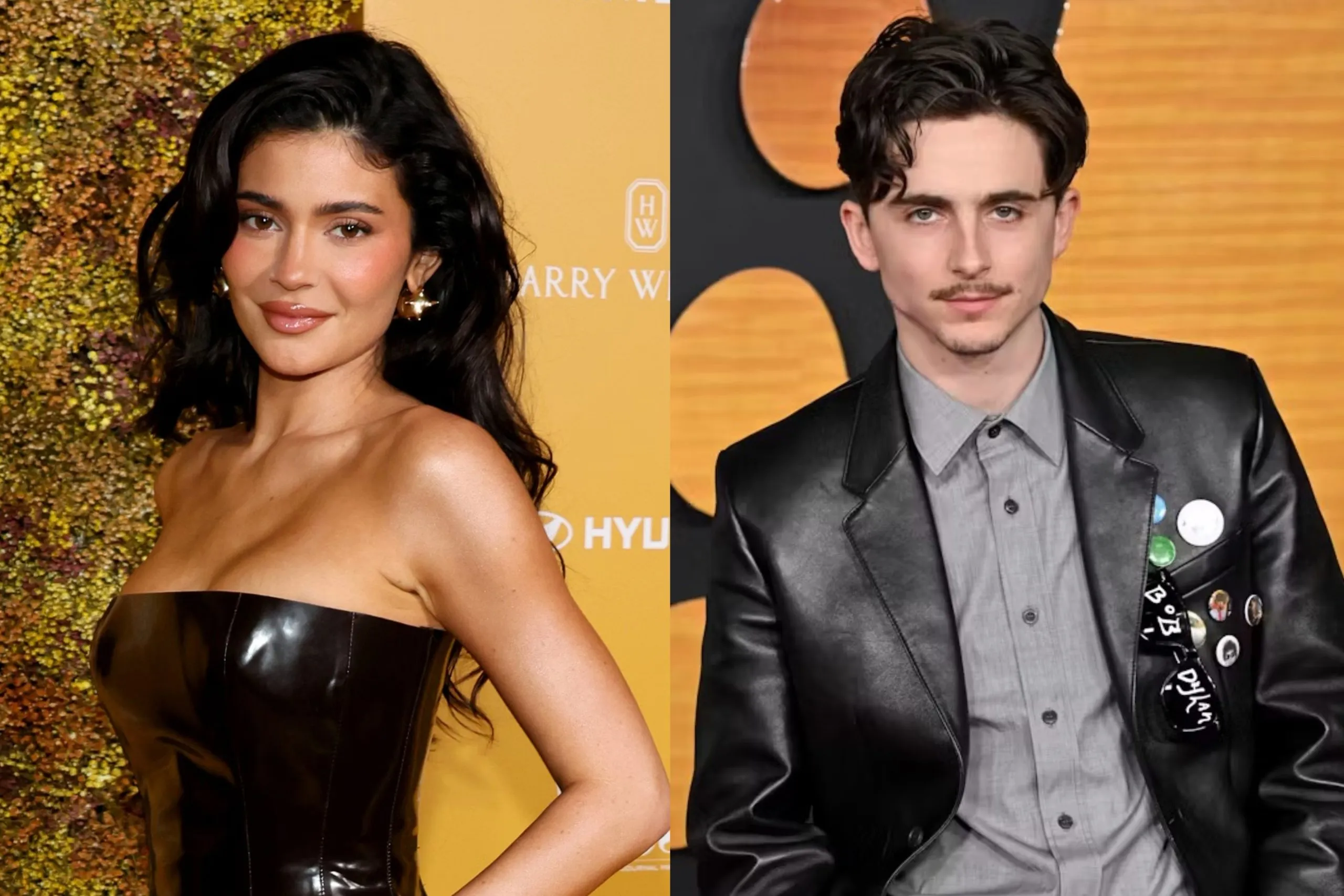 Kylie Jenner Dirumorkan Hamil Anak Timothee Chalamet
