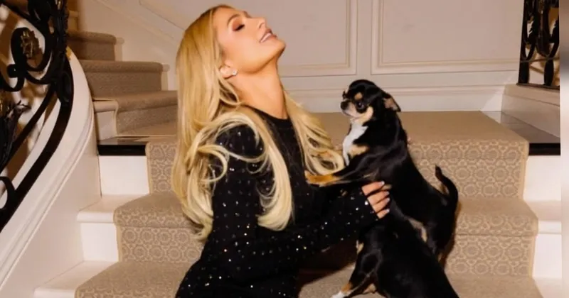 Rumah Hangus Terbakar, Paris Hilton Selamatkan Anjing Peliharaan 