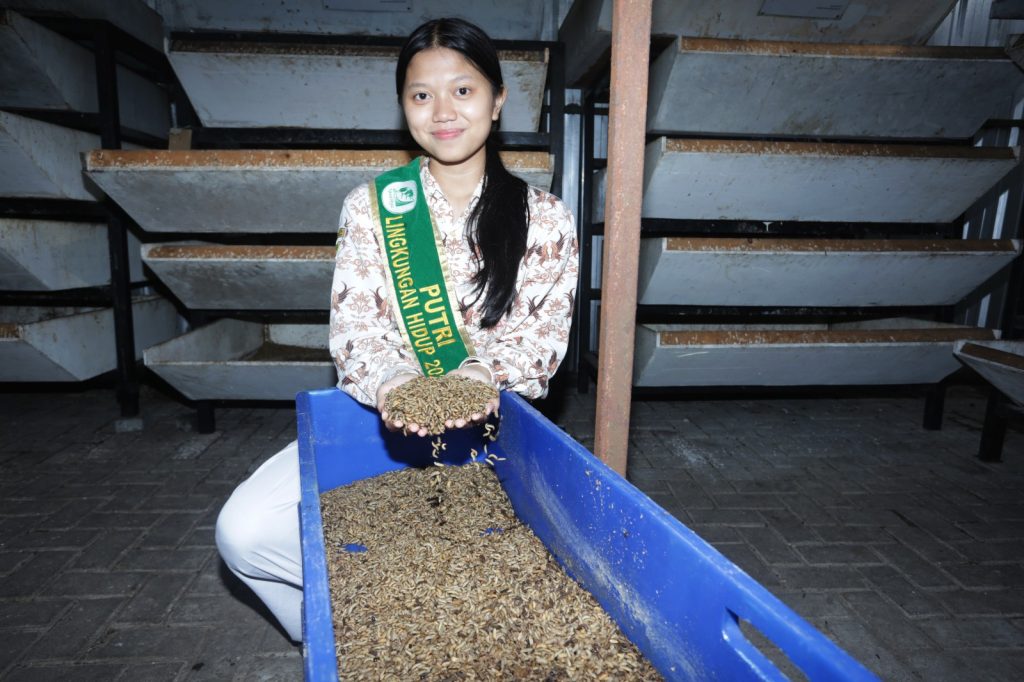 Queen menunjukkan maggot yang memproses sampah organik. (Foto: Ikhsan/Nyata)