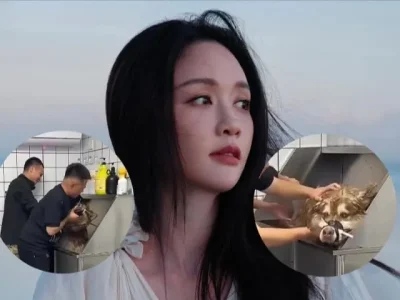 Joe Chen kecam influencer yang diduga siksa seekor anjing hingga mati (Foto: Instagram/iam_joechen dan Tiktok/panhong688)