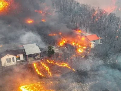 Sebuah rumah dikelilingi kobaran api di Uiseong, Korsel. Foto: Yonhap via REUTERS