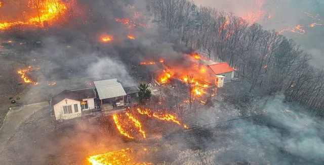 Tewaskan 18 Orang, Kebakaran Hutan di Korsel Makin Meluas