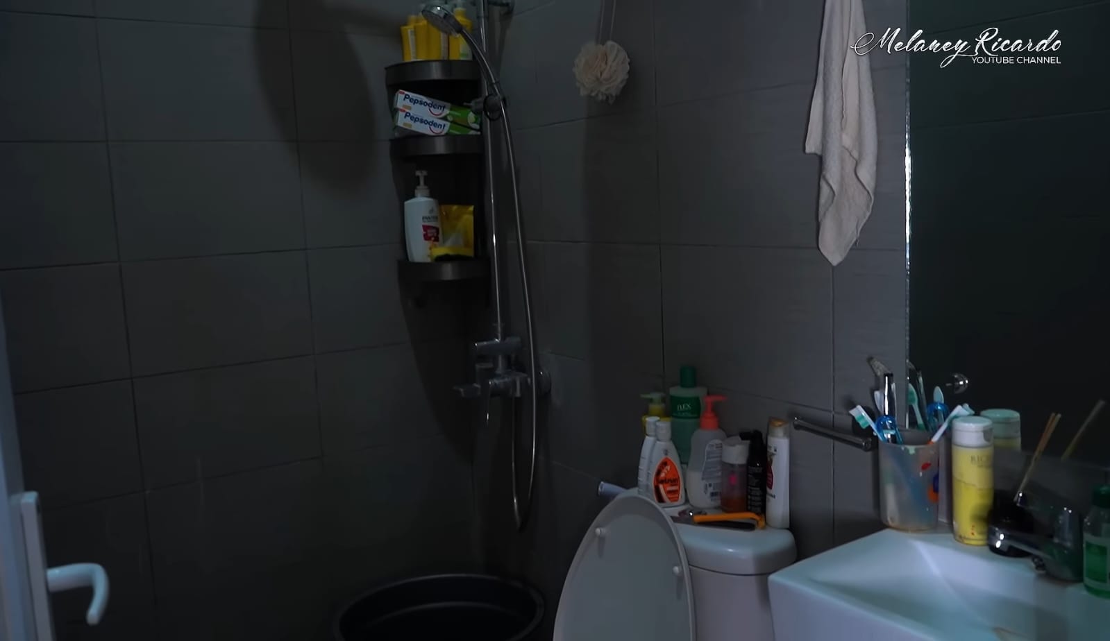 Kondisi kamar mandi. Foto: Dok. YouTube Melaney Ricardo