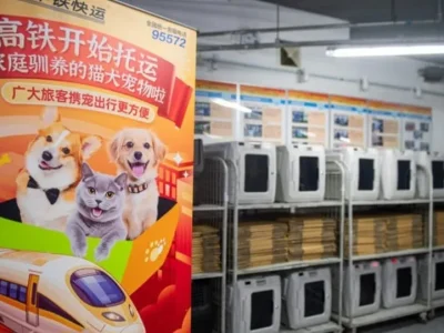 China kini mengizinkan hewan peliharaan naik kereta cepat. Foto: Dok. China.org
