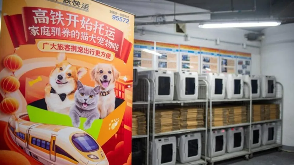 Ramah Anabul, China Izinkan Hewan Peliharaan Naik Kereta Cepat