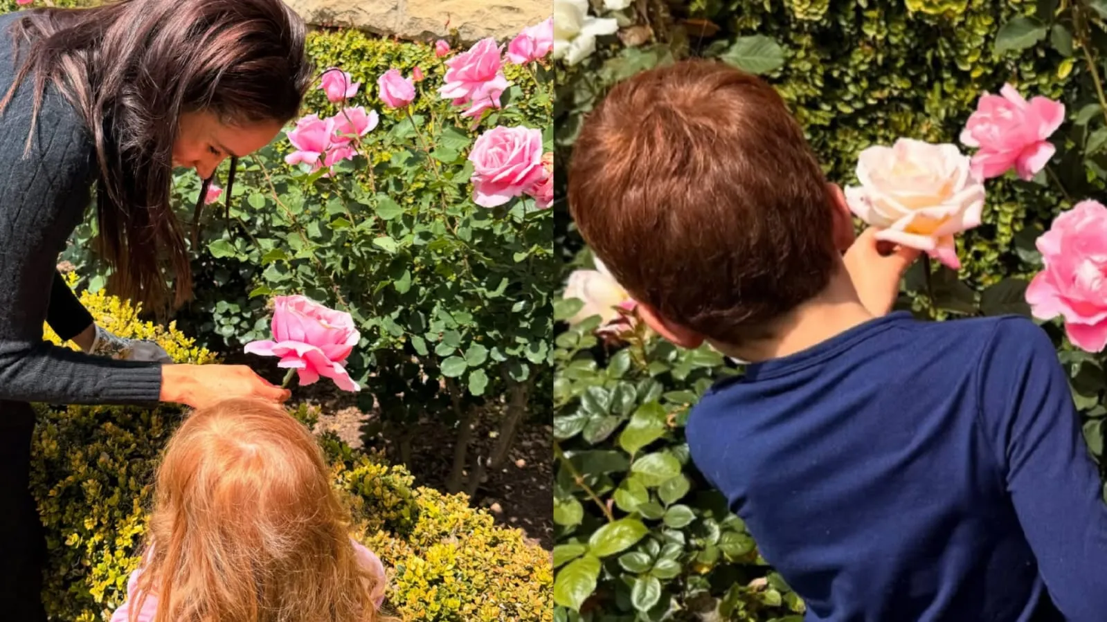 Momen Menggemaskan, Meghan Markle Petik Bunga Bareng Anak