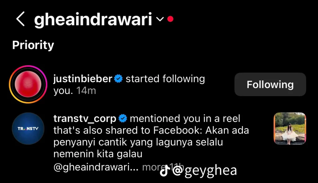 Foto: TikTok/gheaindrawari