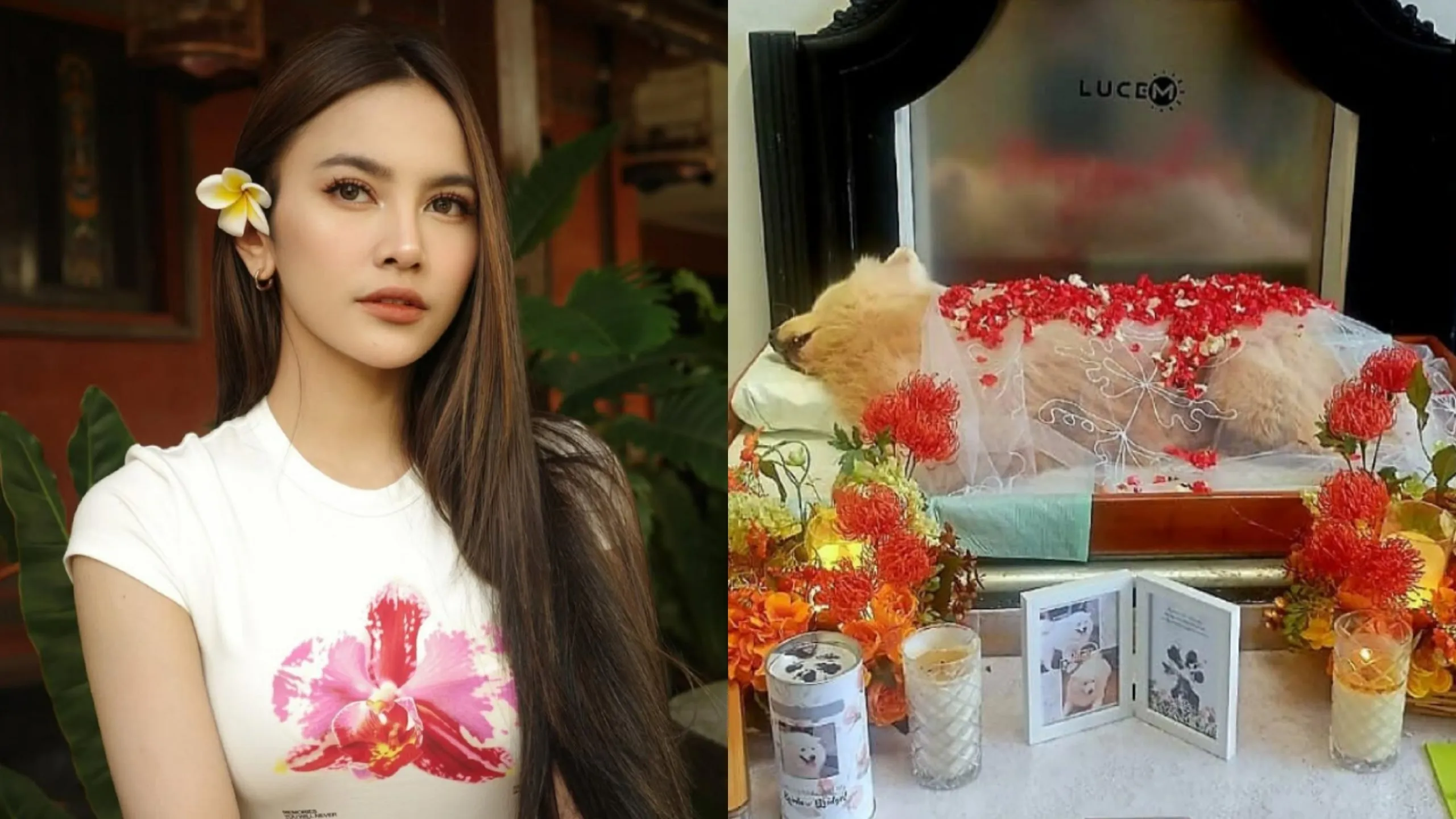 Kesedihan Mahalini Ditinggal Baji, si Anjing Peliharaan Tersayang