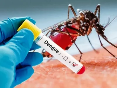 ILUSTRASI : Penyakit Demam Berdarah Dengue (DBD). Foto : istimewa