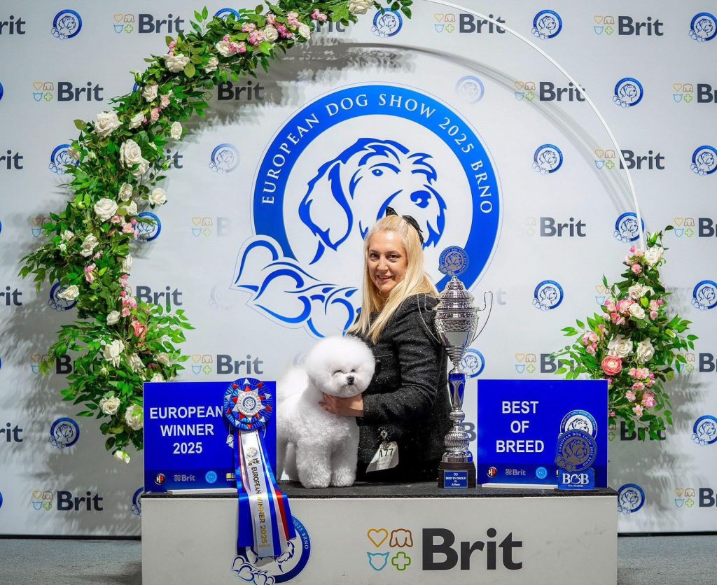Camelia bersama handler Ana Vladimirov (Foto: Dok. Calista)