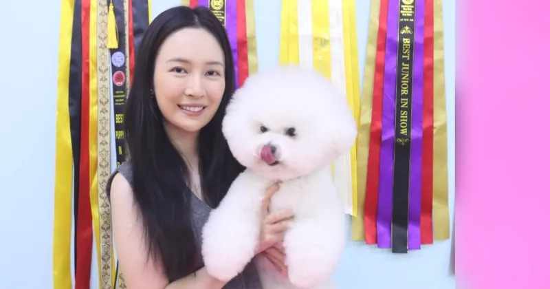 Sempat Ditipu, Calista Beatrice Kini Miliki Anjing-anjing Bichon Frise Cantik Juara Dunia