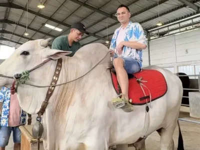 Raffi Ahmad sudah menyiapkan sejumlah sapi untuk kurban di Hari Raya Idul Adha. Foto : Instagram/raffinagita1717