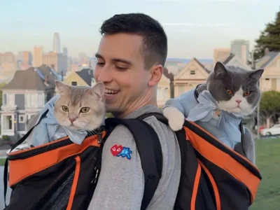 Lazar Joksimovic berbagi tips melatih kucing agar bisa nyaman bepergian. (Foto: Instagram/louieandtodd)