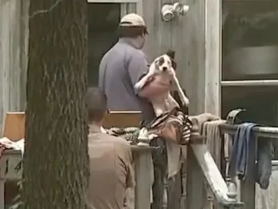 Seorang gadis tewas diserang puluhan anjing di Arkansas. Polisi setempat mengamankan anjing-anjing liar. (Foto: Dok. People)