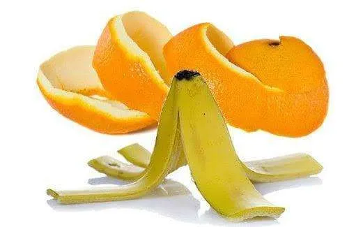 4 Kulit Buah yang Bisa Dimakan dan Kaya Manfaat Kesehatan