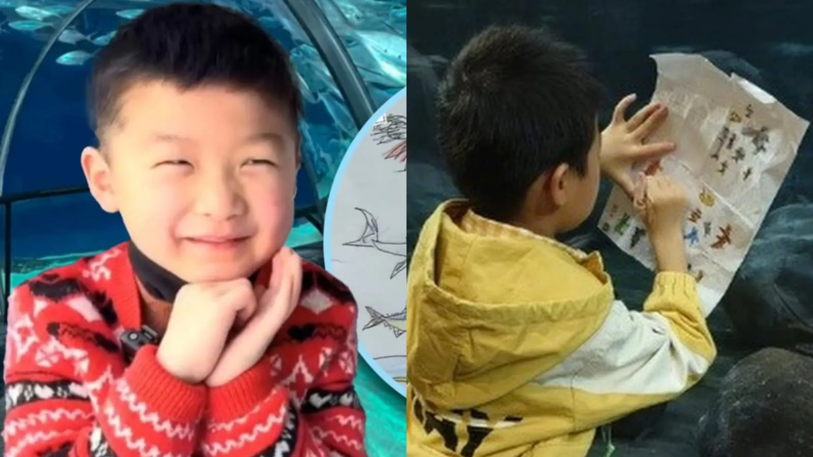 Bocah Laki-laki 6 Tahun di China Hapal 800 Spesies Ikan