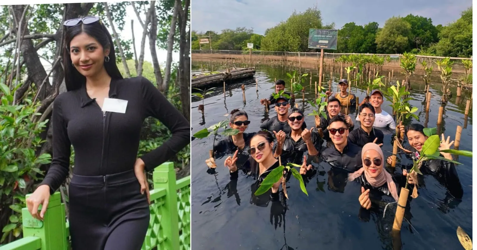 Maknai HUT RI ke-80, Miss Eco International 2025 Tanam 178 Bibit Mangrove