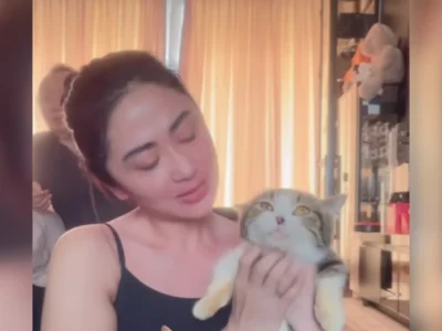 Kucing Eko Patrio diselamatkan Dewi Perssik. Foto : Instagram/dewiperssik9