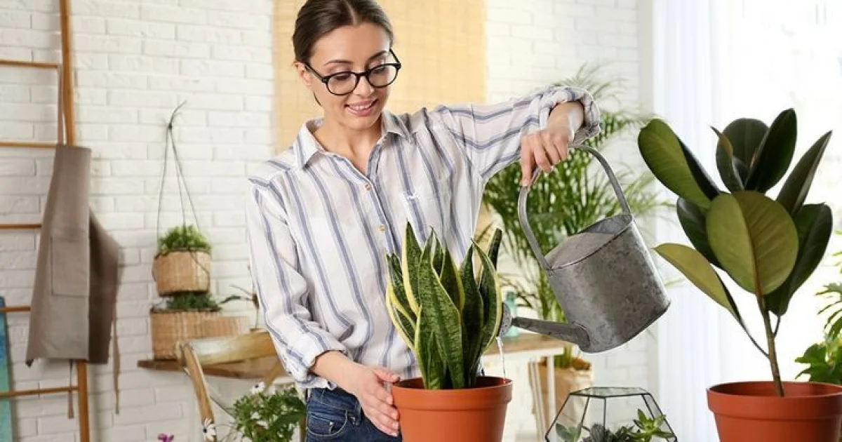 Cara Mudah Membuat Pupuk Cair dari Limbah Organik Rumah Tangga