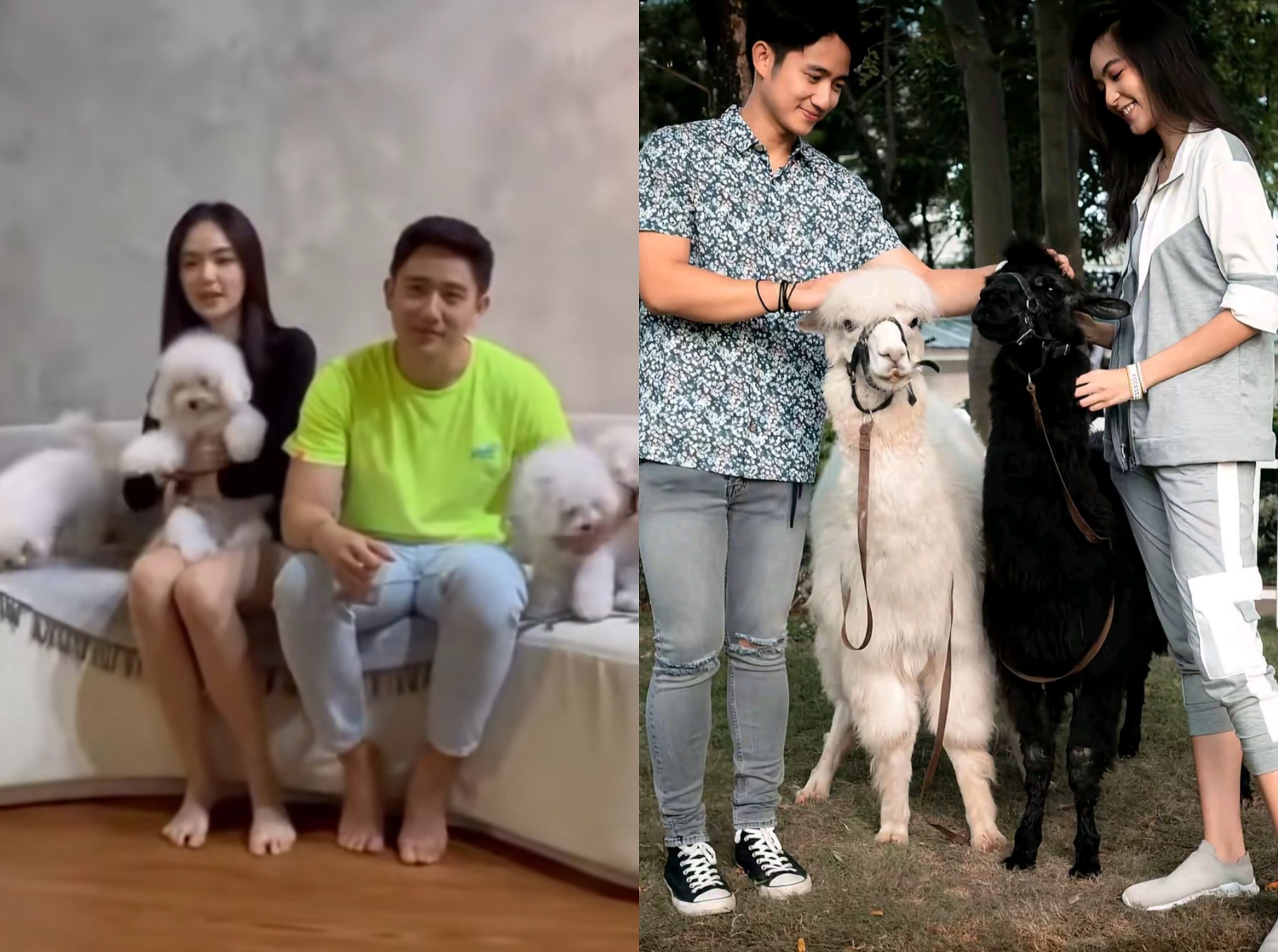 Sama-sama suka hewan. Foto: Dok. tangkapan layar TikTok