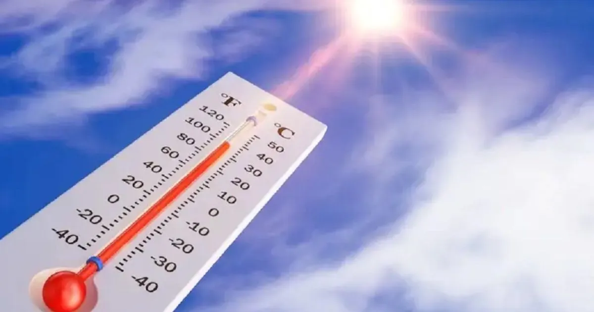 Tips Menjaga Kesehatan di Tengah Cuaca Panas, Hindari Risiko Heat Stroke