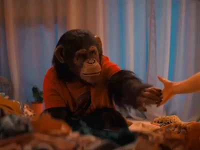Ben si simpanse di film ‘Primate’ (Foto: YouTube/Paramount Pictures)