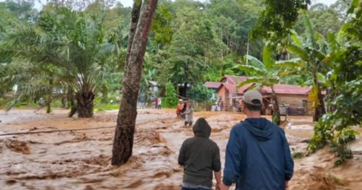 Banjir dan Tanah Longsor Landa Sumatera Utara, 24 Orang Meninggal