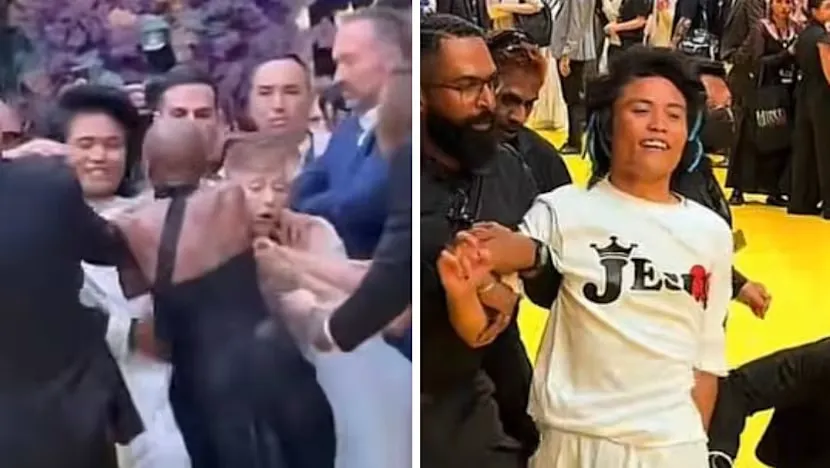 Penyerang Ariana Grande. Foto : TikTok/pyjamamann