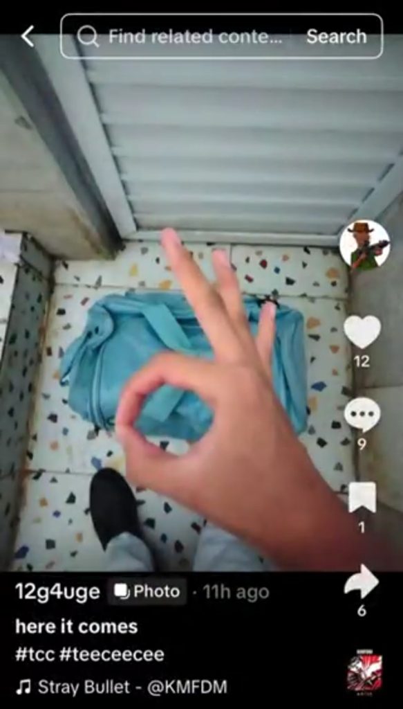 Unggahan terakhir terduga pelaku ledakan SMAN 72 Jakarta Utara (Foto: TikTok/doomedashes)